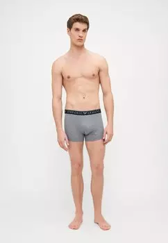 Брюки TRUNK 2 PACK Emporio Armani, серый