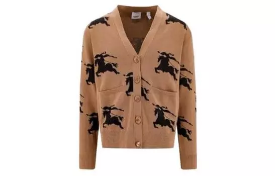 Burberry Женский Свитер, цвет Brown