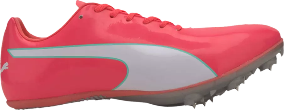 Бутсы Puma evoSpeed Sprint 10 Ignite Pink, розовый