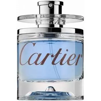 Cartier Vetiver Eau de Toilette Spray for Men Blue