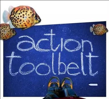 CD диск Action Toolbelt: Action Toolbelt