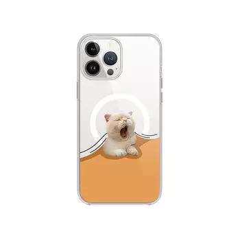 Чехол для телефона MSMF Us 10 Cents Msmf, DWFQCX444-Transparent Black