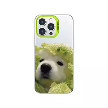 Чехол для телефона MSMF Us 10 Cents Msmf, DWFQCY151-Color silver white green box