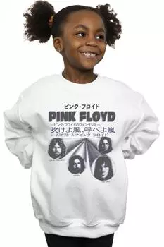 Чехол для толстовки Pink Floyd, белый