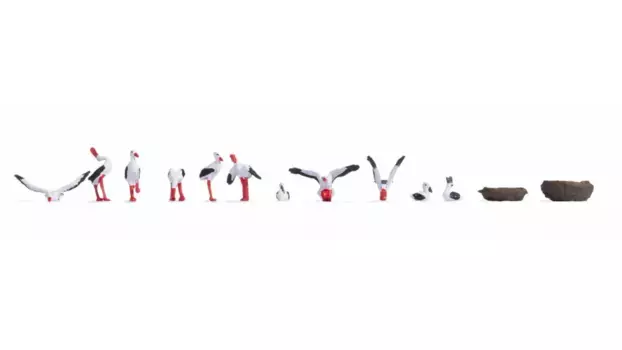 Цифры аисты Noch