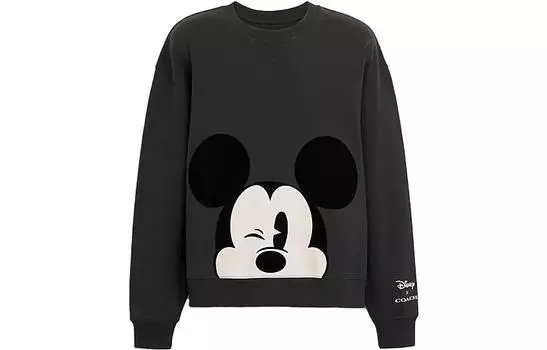 COACH Мужская толстовка, цвет Black