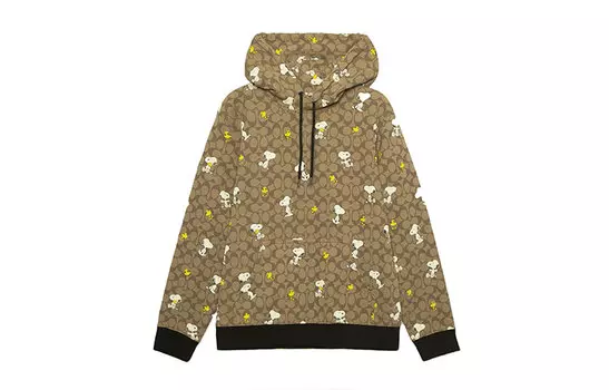 COACH Мужская толстовка, цвет Brown