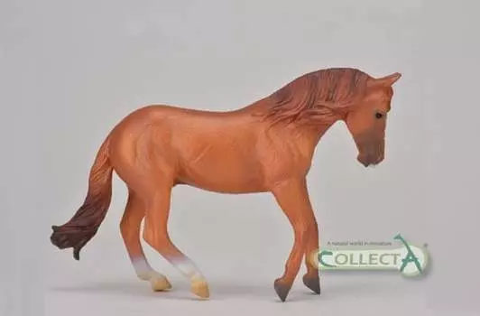 Collecta, Коллекционная статуэтка, Каштановый жеребец австралийской стадной лошади.