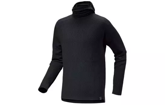 COVERT PULLOVER Толстовка мужская Arcteryx, зеленый
