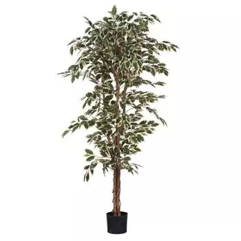 Декоративное растение Mica Decorations Ficus цвет grn/bunt
