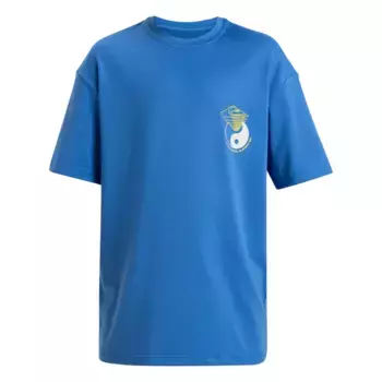 Детская футболка Quiksilver Everyday Surf, синий
