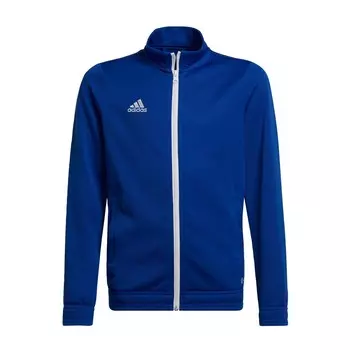 Детская куртка Adidas Entrada 22, синий