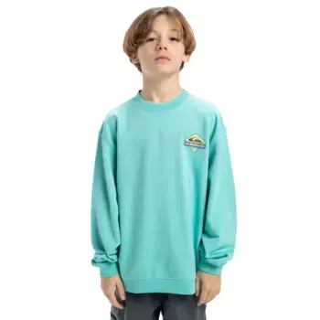 Детская толстовка Spin Cycle Quiksilver, голубой