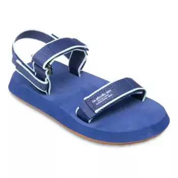 Детские сандалии Quiksilver Monkey Caged, синий