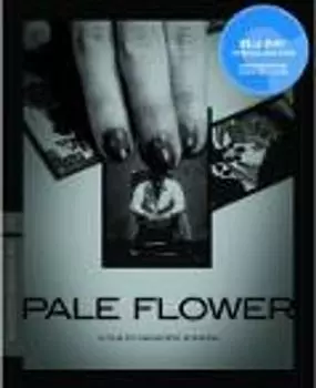 Диск Blu-ray Pale Flower [Criterion]