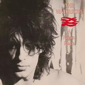 Диск CD A Pagan Place [Expanded Edition] - The Waterboys