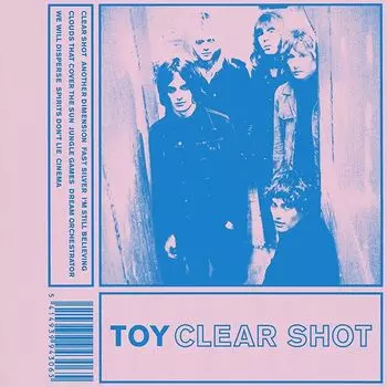 Диск CD Clear Shot - TOY