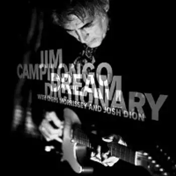 Диск CD Dream Dictionary - Jim Campilongo
