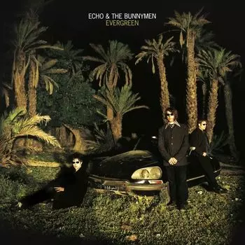 Диск CD Evergreen - Echo & The Bunnymen