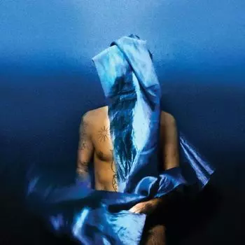 Диск CD Flying Wig - Devendra Banhart