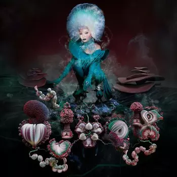 Диск CD fossora - Bjrk