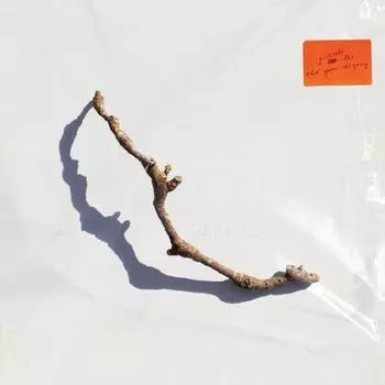 Диск CD I Inside The Old Year Dying - PJ Harvey
