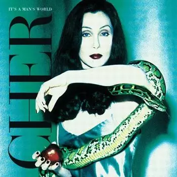 Диск CD It's A Man's World - Cher