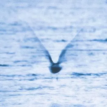 Диск CD Mellow Dream - Ryo Fukui