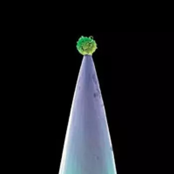 Диск CD New Blood - Peter Gabriel