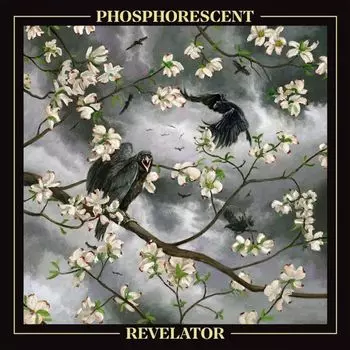 Диск CD Revelator - Phosphorescent