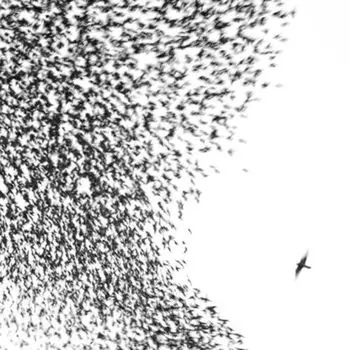 Диск CD Sky Blue Sky - Wilco