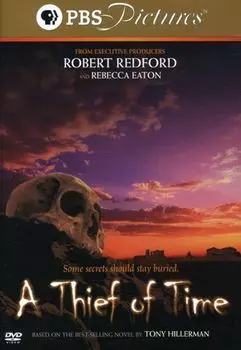 Диск DVD A Thief Of Time