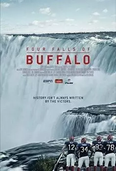 Диск DVD Four Falls Of Buffalo