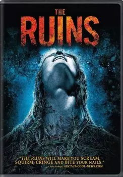 Диск DVD Ruins