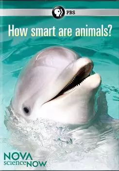 Диск DVD Sciencenow: How Smart Are Anim