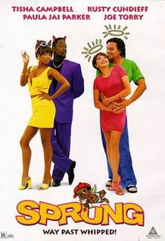 Диск DVD Sprung