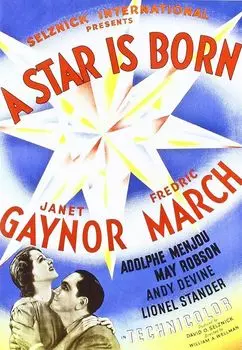 Диск DVD Star Is Born