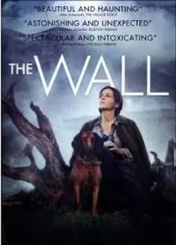 Диск DVD Wall