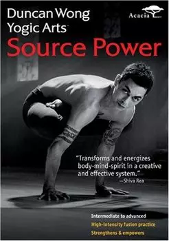 Диск DVD Yogic Arts-Source Power