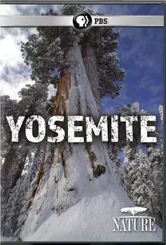 Диск DVD Yosemite (2017)