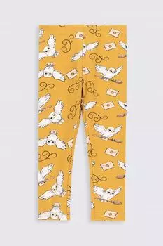 Длинные леггинсы Coccodrillo Harry Potter, желтый