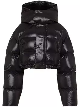 DSQUARED2 укороченный пуховик Icon, черный