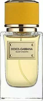 Духи Dolce &amp; Gabbana Velvet Ginestra