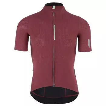 Джерси с коротким рукавом Q36.5 Pinstripe PRO, красный