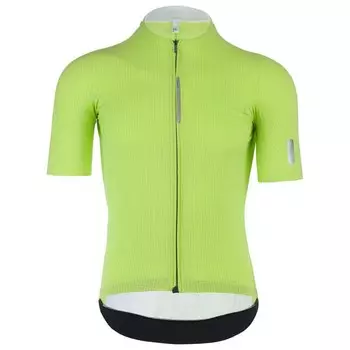 Джерси с коротким рукавом Q36.5 Pinstripe PRO, зеленый