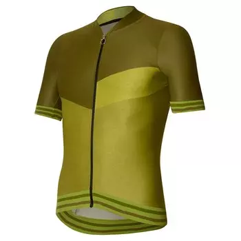 Джерси с коротким рукавом rh+ Jonny Mole Gravel, зеленый