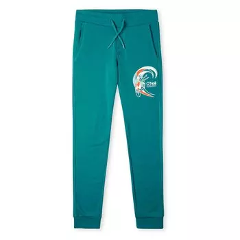 Джоггеры Oneill ORiginal Surfer, синий