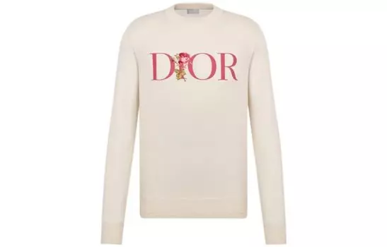 Ежеквартальные новинки свитер мужской белый Dior, белый