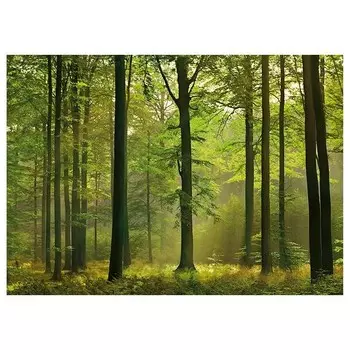 Фреска A.S. Cration Autumn Forest цвет grn/braun