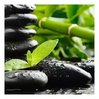Фреска A.S. Cration Zen Stones Bambus цвет grn/schwarz
